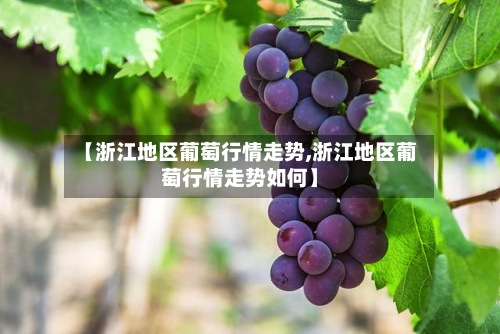 【浙江地区葡萄行情走势,浙江地区葡萄行情走势如何】