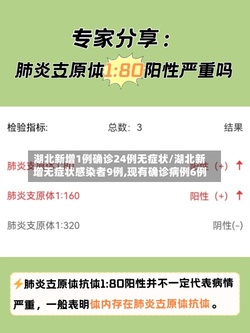 湖北新增1例确诊24例无症状/湖北新增无症状感染者9例,现有确诊病例6例-第2张图片