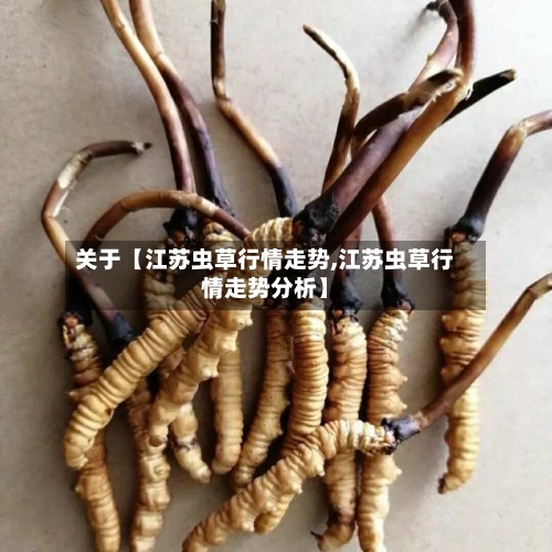 关于【江苏虫草行情走势,江苏虫草行情走势分析】