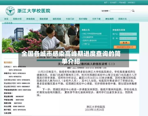 全国各城市感染高峰期进度查询的简单介绍