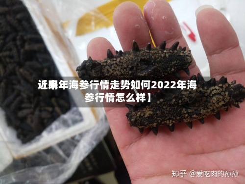 近来
【明年海参行情走势如何2022年海参行情怎么样】