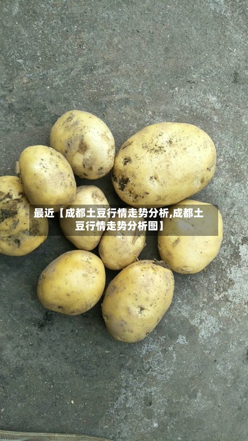 最近【成都土豆行情走势分析,成都土豆行情走势分析图】-第2张图片