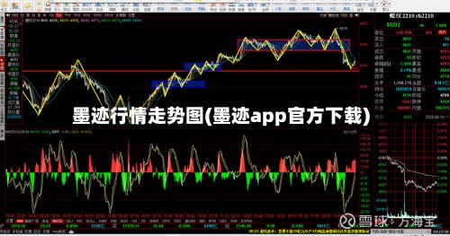 墨迹行情走势图(墨迹app官方下载)