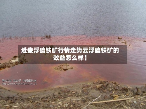 近来
【云浮硫铁矿行情走势云浮硫铁矿的效益怎么样】
