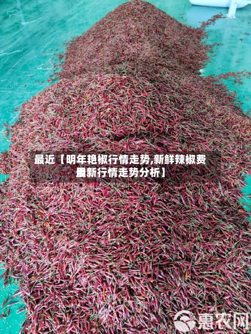 最近【明年艳椒行情走势,新鲜辣椒费用最新行情走势分析】-第3张图片