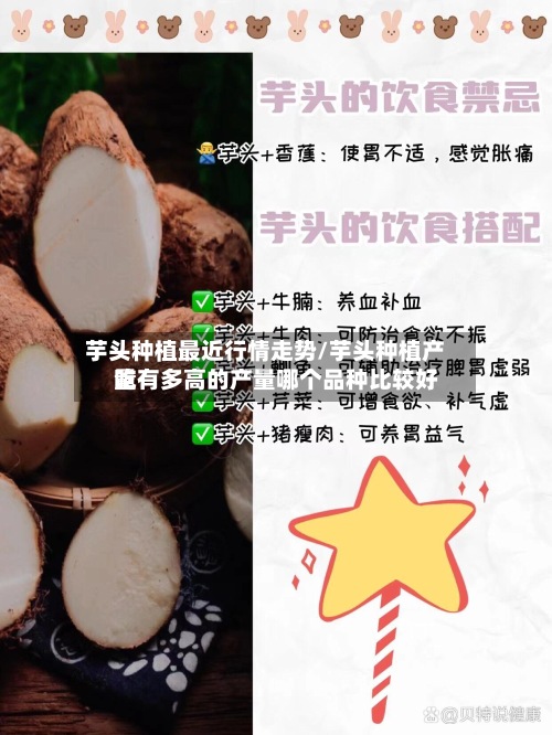芋头种植最近行情走势/芋头种植产量有多高的产量哪个品种比较好吃