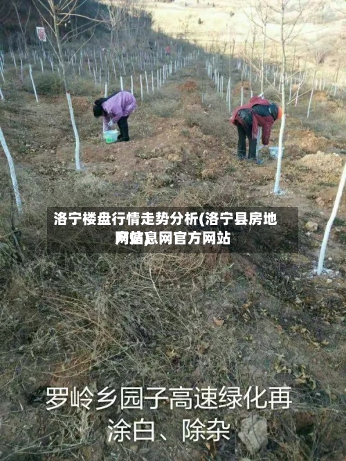 洛宁楼盘行情走势分析(洛宁县房地产信息网官方网站
网站)