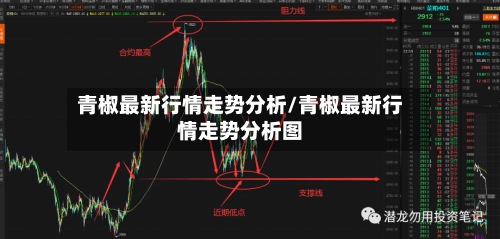 青椒最新行情走势分析/青椒最新行情走势分析图-第2张图片