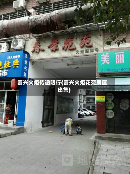 嘉兴火炬传递限行(嘉兴火炬花苑房屋出售)-第3张图片