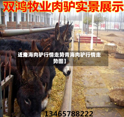 近来【青海肉驴行情走势青海肉驴行情走势图】