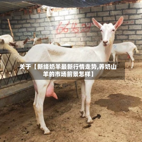关于【新绛奶羊最新行情走势,养奶山羊的市场前景怎样】-第3张图片