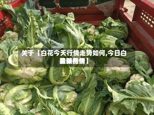 关于【白花今天行情走势如何,今日白花菜费用最新行情】