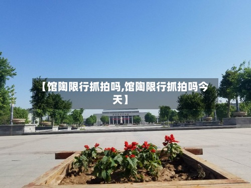 【馆陶限行抓拍吗,馆陶限行抓拍吗今天】-第3张图片