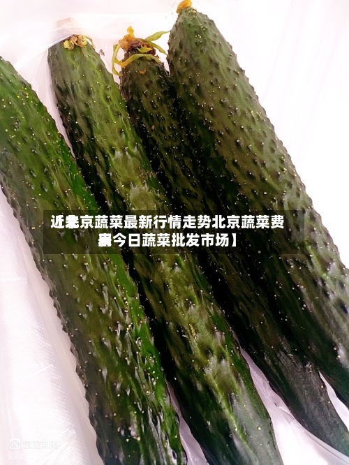 近来
【北京蔬菜最新行情走势北京蔬菜费用
表今日蔬菜批发市场】