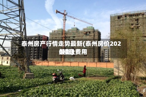 泰州房产行情走势最新(泰州房价2020楼盘费用最新)-第3张图片