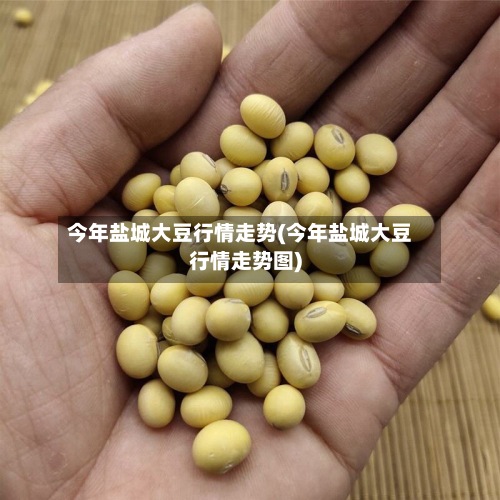 今年盐城大豆行情走势(今年盐城大豆行情走势图)-第3张图片