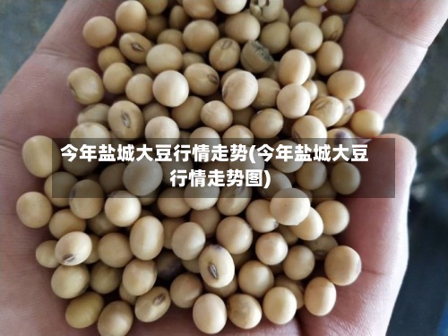 今年盐城大豆行情走势(今年盐城大豆行情走势图)-第2张图片