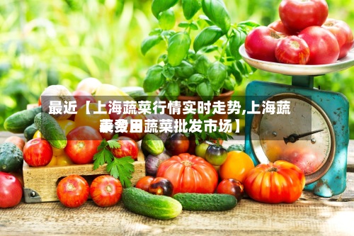 最近【上海蔬菜行情实时走势,上海蔬菜费用表今日蔬菜批发市场】-第2张图片