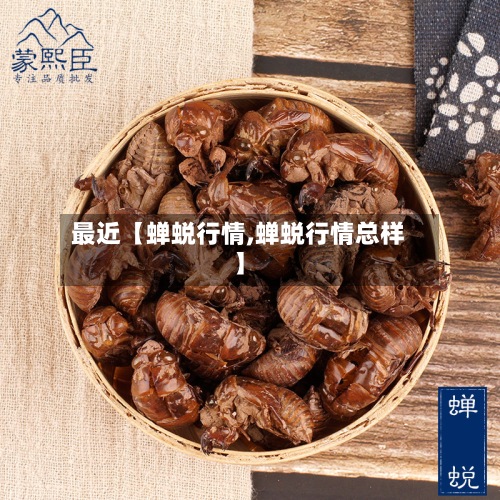最近【蝉蜕行情,蝉蜕行情总样】