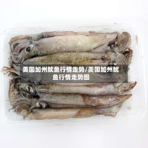 美国加州鱿鱼行情走势/美国加州鱿鱼行情走势图