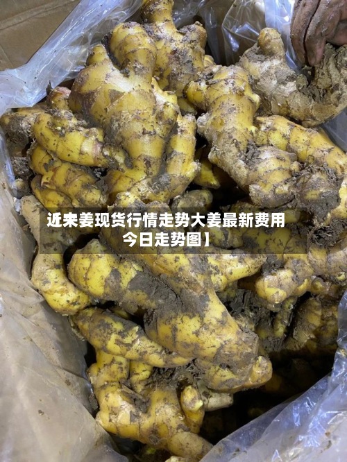 近来【大姜现货行情走势大姜最新费用今日走势图】-第2张图片