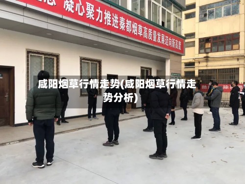 咸阳烟草行情走势(咸阳烟草行情走势分析)-第2张图片