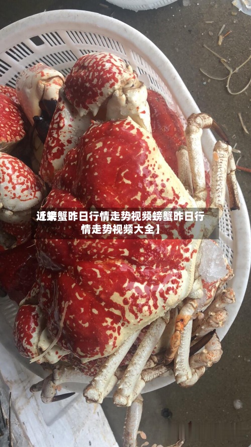 近来【螃蟹昨日行情走势视频螃蟹昨日行情走势视频大全】