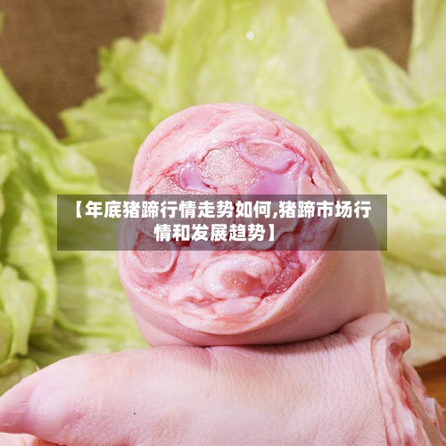 【年底猪蹄行情走势如何,猪蹄市场行情和发展趋势】-第3张图片