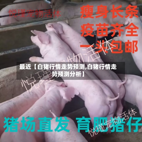 最近【白猪行情走势预测,白猪行情走势预测分析】-第2张图片