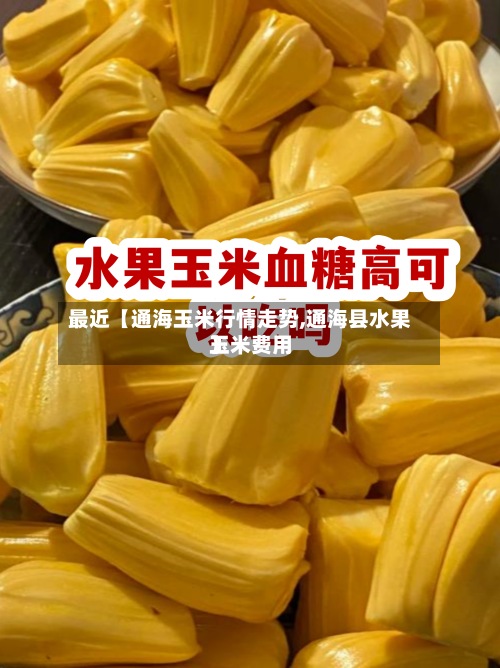 最近【通海玉米行情走势,通海县水果玉米费用
】