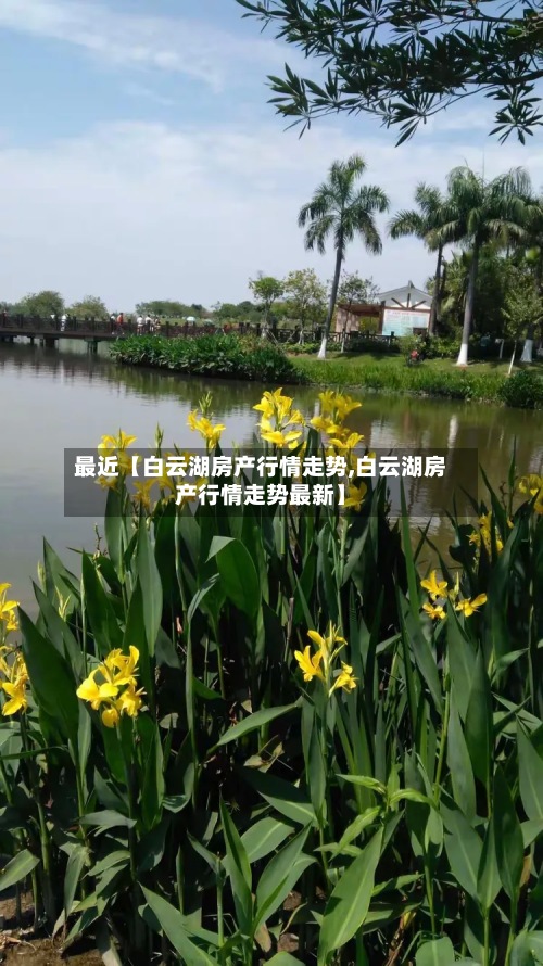 最近【白云湖房产行情走势,白云湖房产行情走势最新】
